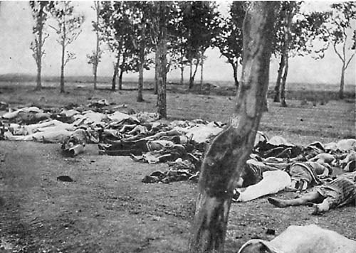 Pictures of Dead Bodies from Armenian Genocide 1915